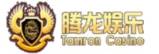 腾龙娱乐公司